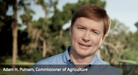 Some pols toss turkeys; Adam Putnam flings Florida fruit