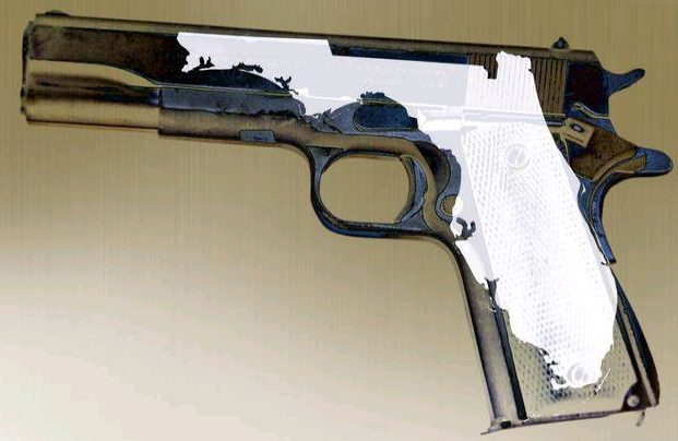 Image result for florida as a gun