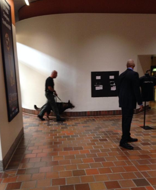 On 9/11 anniversary, bomb dogs called to County Hall