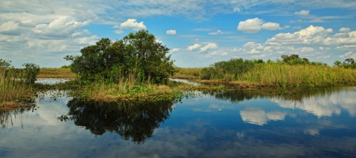 Legislators let clock run on Everglades — and ignore our vote