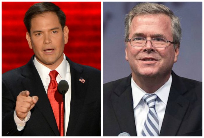 It’s the Marco & Jeb two-man show all over the U.S.