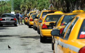taxis in line