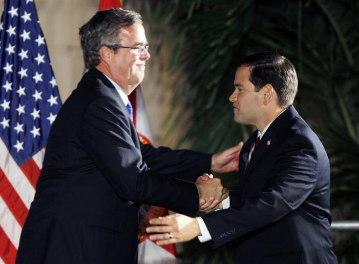 Gloves are off in Jeb Bush vs Marco Rubio GOP primary