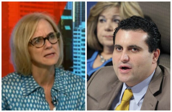 Miami-Dade District 5 poll spells runoff: Eileen Higgins vs Renier DLP