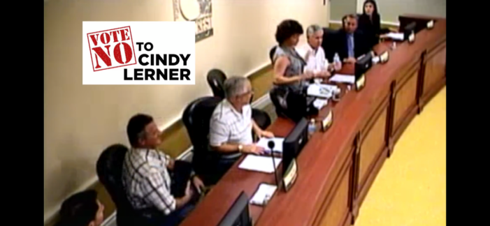 Video montage reminds District 7 voters of Cindy Lerner’s temper, rudeness