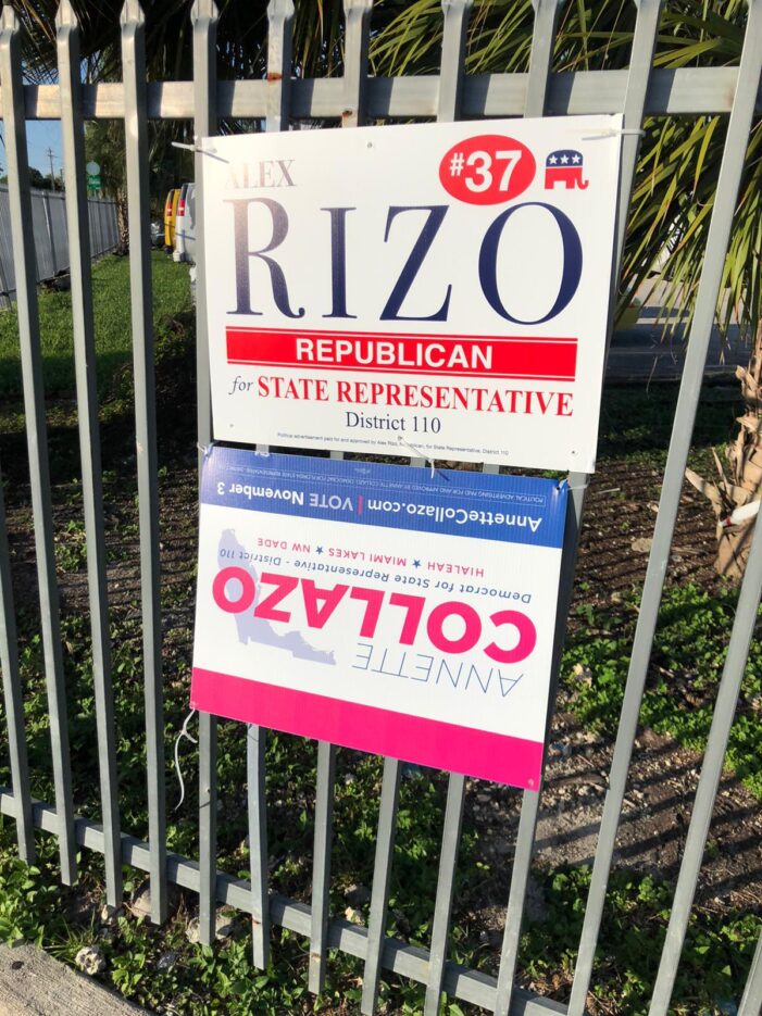 Annette Collazo signs vanish, trashed in heated House 110 race vs Alex Rizo
