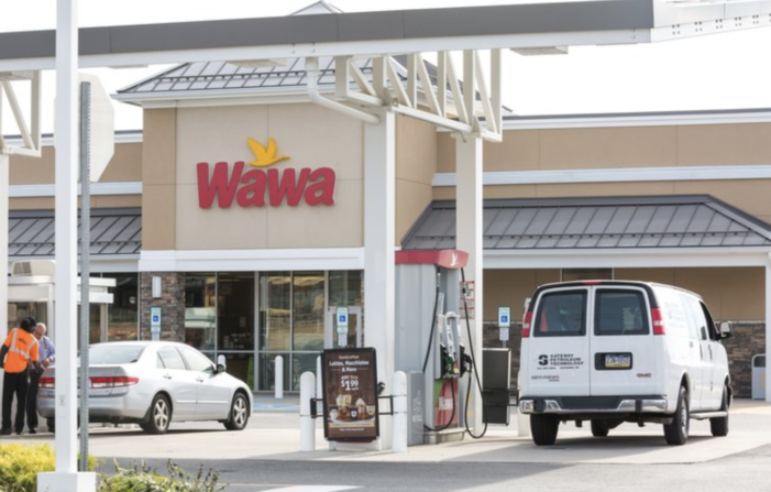 Unregistered lobbying leads to removal of old oaks for Coral Gables WaWa