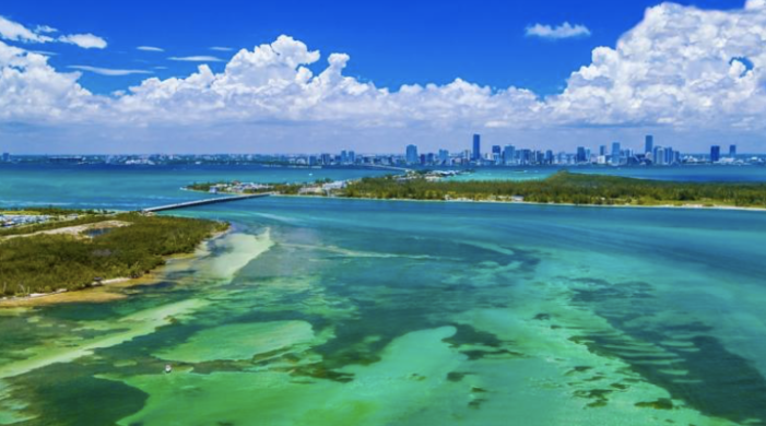 State gives Miami-Dade and cities $22.7 million in grants for Biscayne Bay