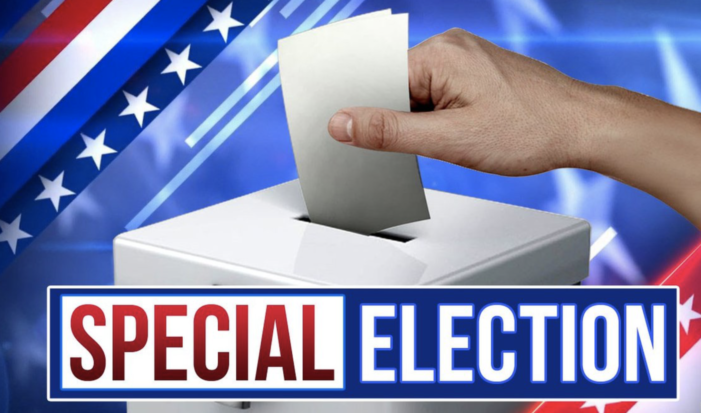 Three candidates run in special election for House District 118 in Kendall