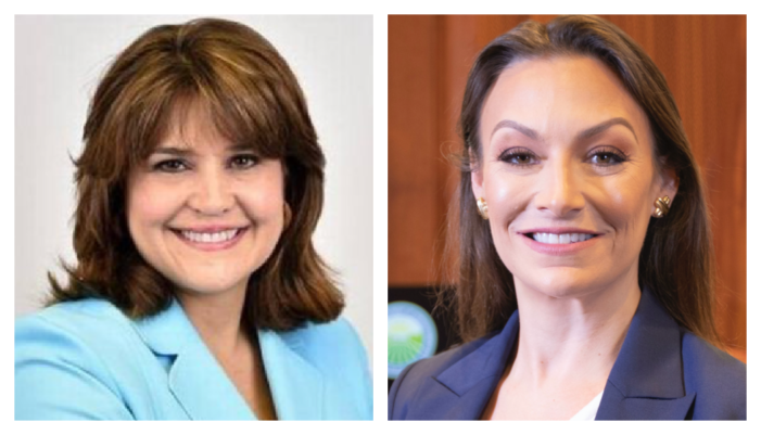 Deja vu: It’s Nikki Fried vs Annette Taddeo for Florida Dem Party Chair