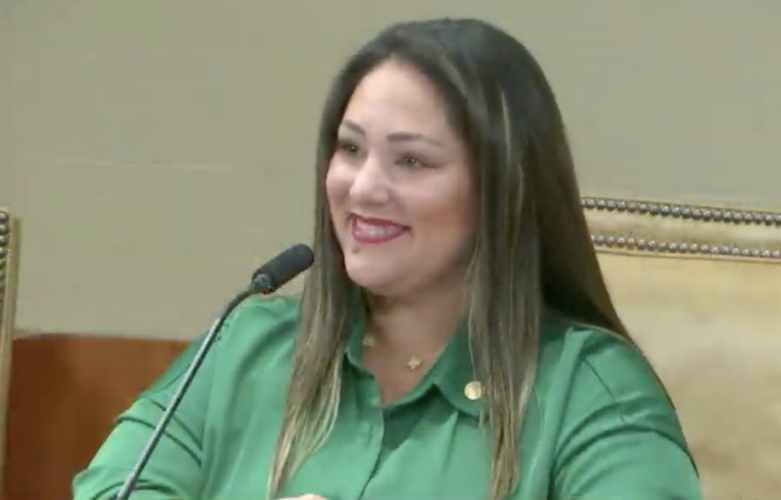 Melissa Castro comes into her own with two good items on Coral Gables agenda