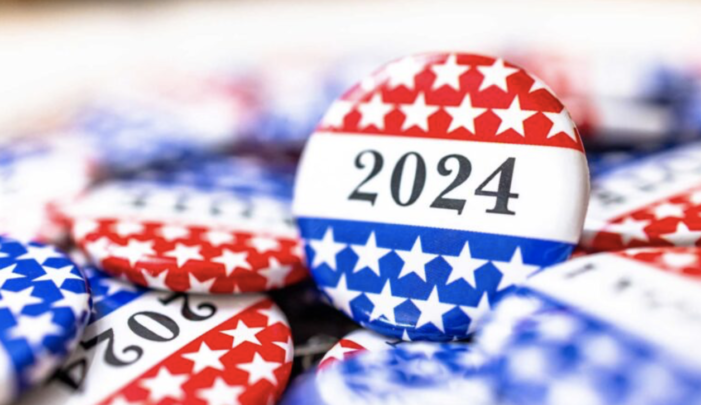 Fat ballot: Everybody is running for something, everything in 2024