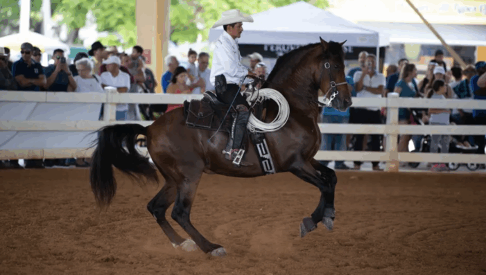 Shady charity with political ties gets $450K from Miami-Dade Commission