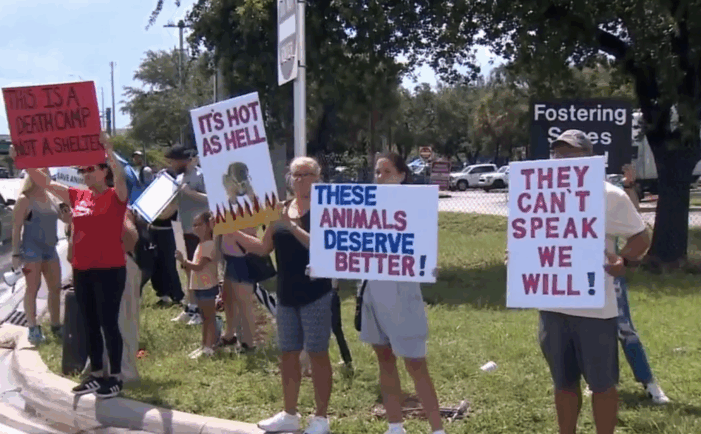 Protesters want answers, justice for Rocky at Miami-Dade animal shelter