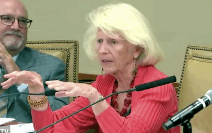 Coral Gables commission ‘fires’ development watchdog P&Z member