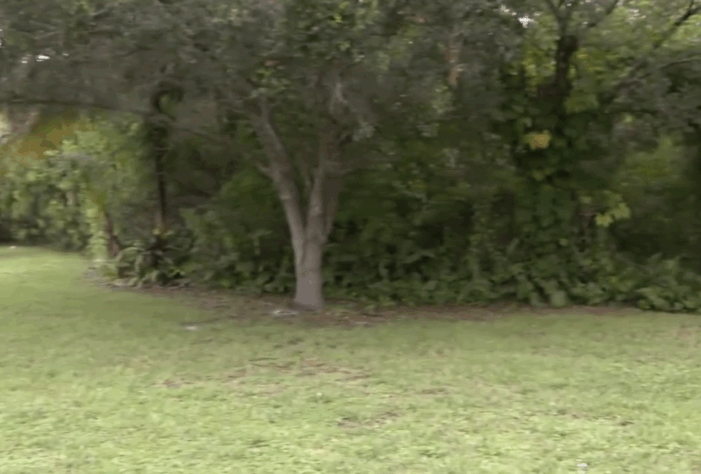 Palmetto Bay budget hearing Monday could focus on “The Woods” property