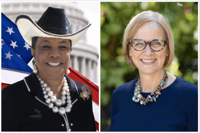 Eileen Higgins nabs expected Frederica Wilson endorsement for Miami mayor