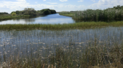 Unlikely allies rally to save Miami-Dade UDB from Tallahassee’s talons