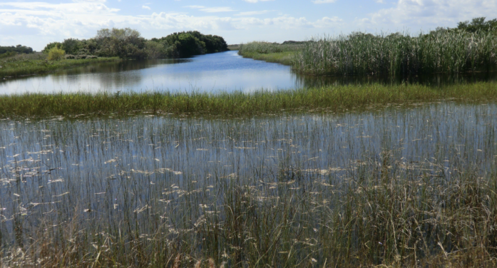 Unlikely allies rally to save Miami-Dade UDB from Tallahassee’s talons