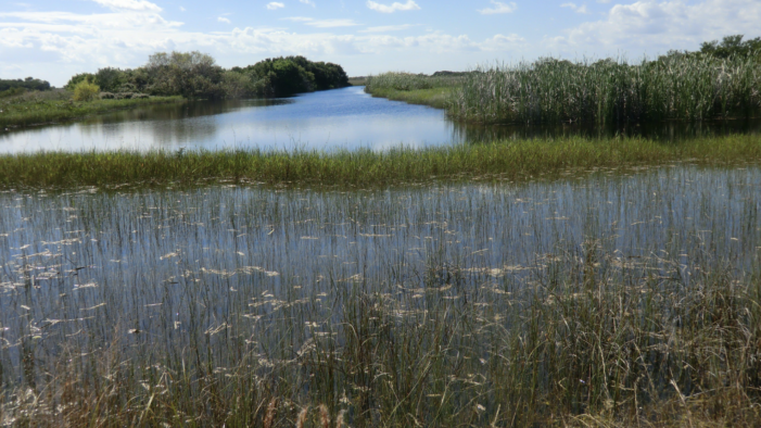 Unlikely allies rally to save Miami-Dade UDB from Tallahassee’s talons