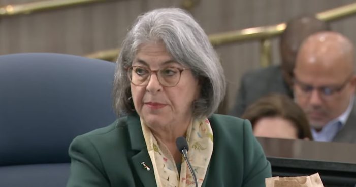 Daniella Levine Cava goes eminent domain on Fisher Island fuel farm deal