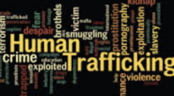 Coral Gables puts hold on victim-centered human trafficking training