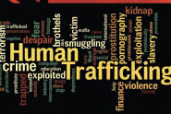 Coral Gables puts hold on victim-centered human trafficking training